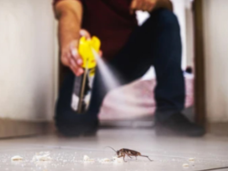 Macchine e soluzioni per la produzione e il riempimento di insetticidi